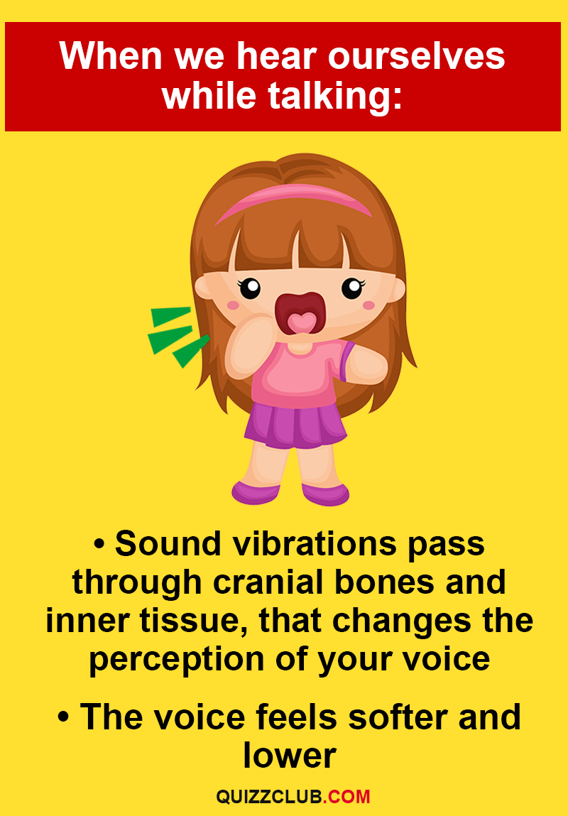 Personality Story: - sound vibrations pass through cranial bones and inner tissue, that changes the perception of your voice.  - The voice feels softer and lower.