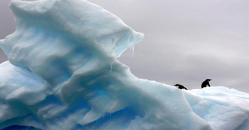 География Story: 9 интересных фактов о льде на нашей планете
