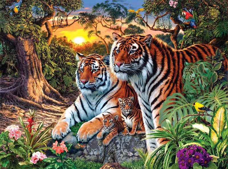 Культура Story: Интересная загадка: посчитайте тигров