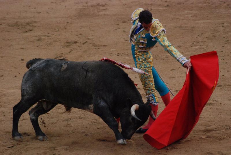 Общество Story: В Испании бык убил матадора впервые за много лет!