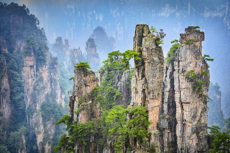 География Story: Национальный парк Чжанцзяцзе - удивительное чудо природы в Китае