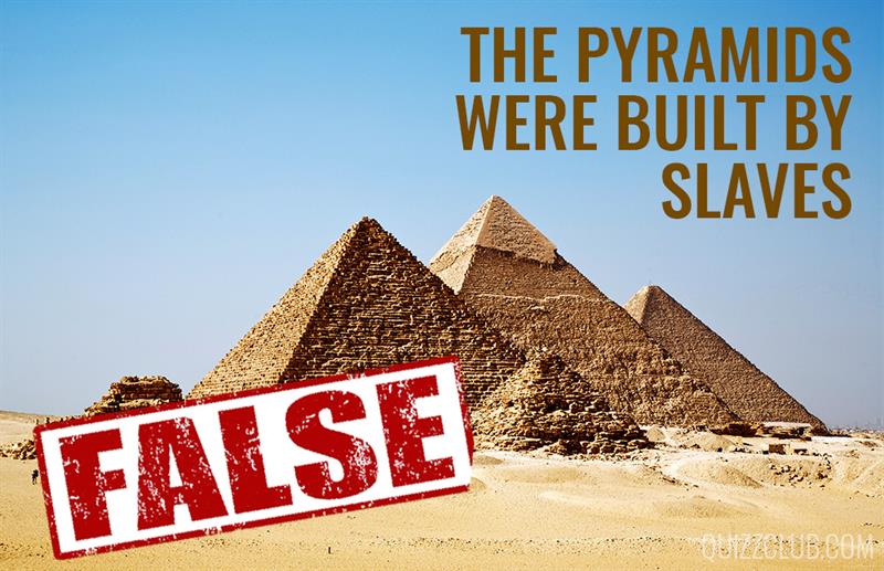 Science Story: We bet you always believed these 8 completely false facts #6