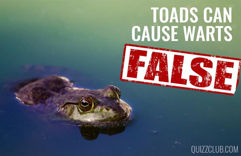 Science Story: We bet you always believed these 8 completely false facts #7