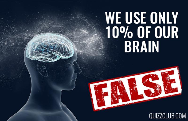 Science Story: We bet you always believed these 8 completely false facts #2