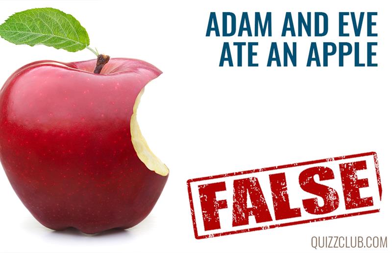 Science Story: We bet you always believed these 8 completely false facts #8