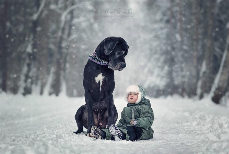 animals Story: Little kids with their big dogs: the most adorable pictures you've ever seen