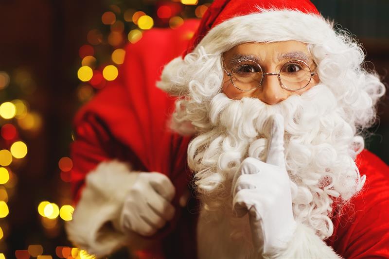 holiday Story: The most exciting secrets of mall Santas