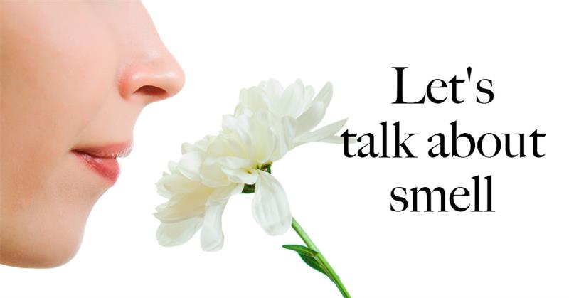 Science Story: Educational video: How to master your sense of smell