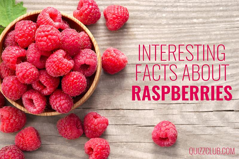 Nature Story: Interesting facts about raspberries – the world’s most delicate fruit