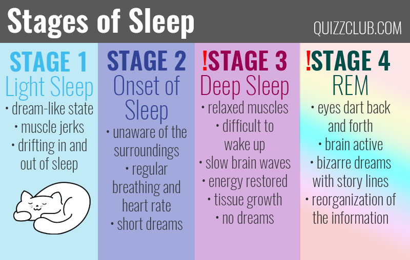 Science Story: There are two important types of sleep, and each one helps you recover in different ways