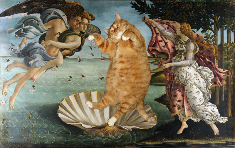 animals Story: Meet Zarathustra - a ginger cat that shows famous paintings in a totally new light