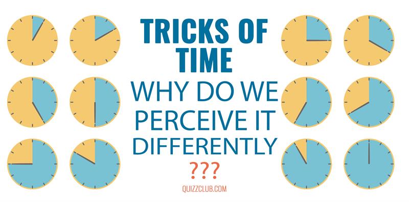 IQ Story: Tricks of time - why we perceive it differently