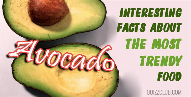 food Story: A super trendy food - facts about avocados