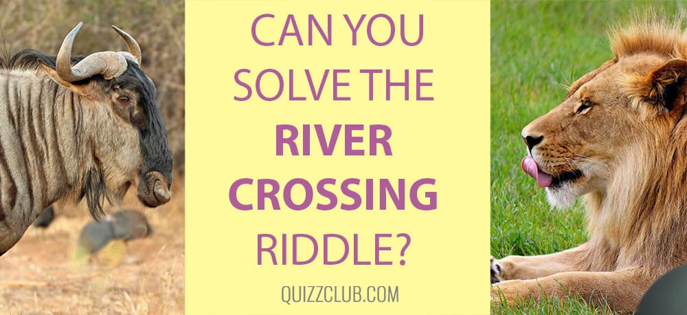 Brainstorm: this logic riddle is famous all... | Brain Teasers