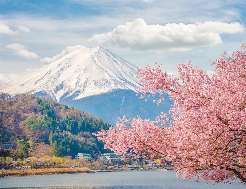 inspiration Story: These marvelous pictures of blooming Sakura will take you to a fairy tale of Japanese spring