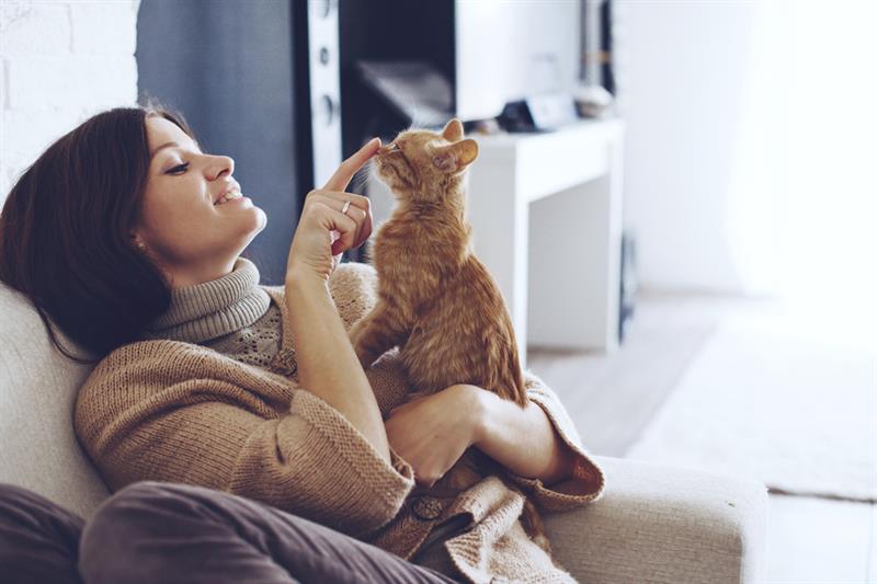 Science Story: The bond with your cat helps to normalize your blood pressure