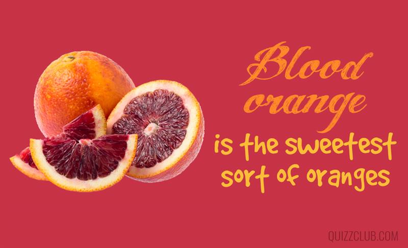 health Story: Facts about orange - one of the most favorite fruits in the world #4