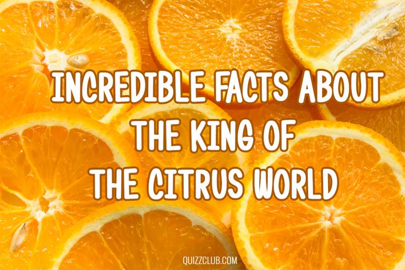 health Story: Facts about orange - one of the most favorite fruits in the world