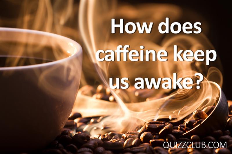 Science Story: If you are a coffee person, you should definitely know these surprising facts about caffeine
