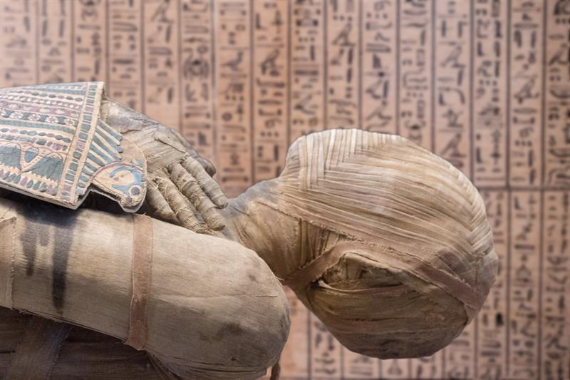 Culture Story: #6 When a person died all internal organs were removed from the body except the heart. The Egyptians believed that the heart was the source of human wisdom, the soul and personality
