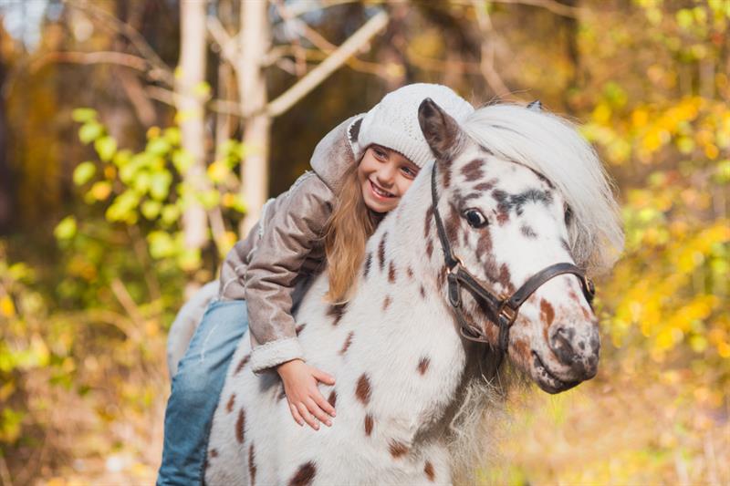 animals Story: The hippotherapy has the most powerful influence on small children.