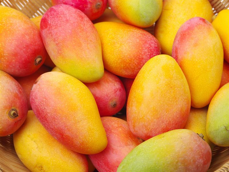 Geography Story: #7: India is both the largest consumer and producer of Mangoes on the planet