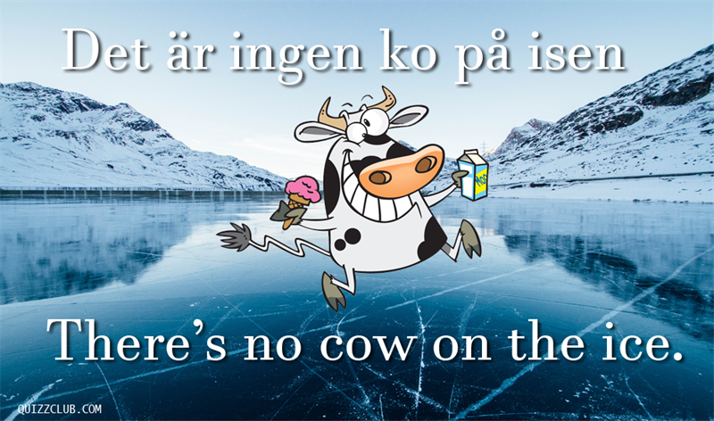 Culture Story: There's no cow on the ice