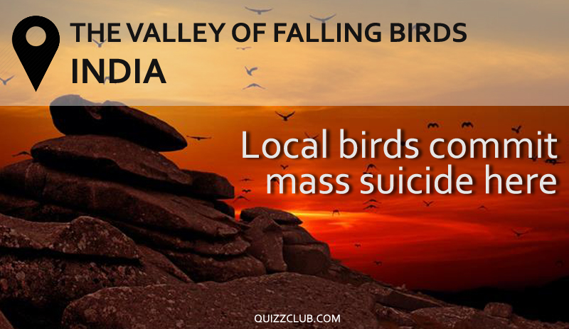 #2 The Valley of Fallen Birds, India