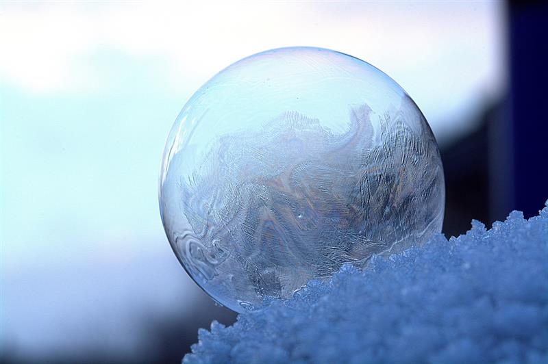 Nature Story: Winter inspired pictures that captured the beauty of ice