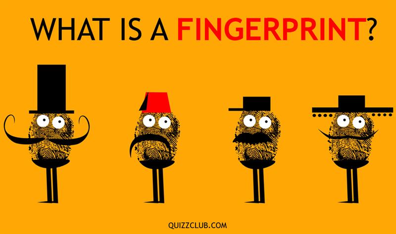 What do you know about the nature of fingerprints?