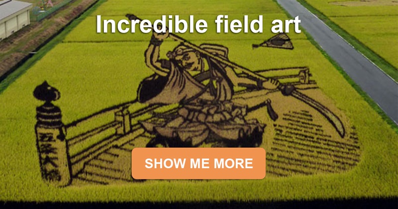 Geography Story: Japanese villagers create enormous masterpieces on the rice fields