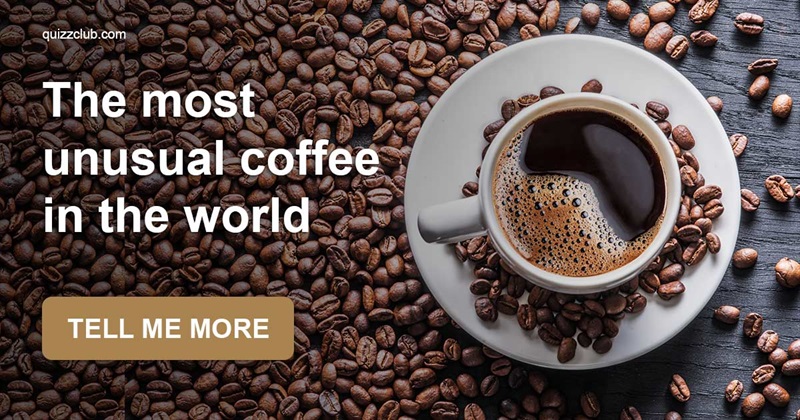 Culture Story: Avolatte and other coffee drinks most people never heard of
