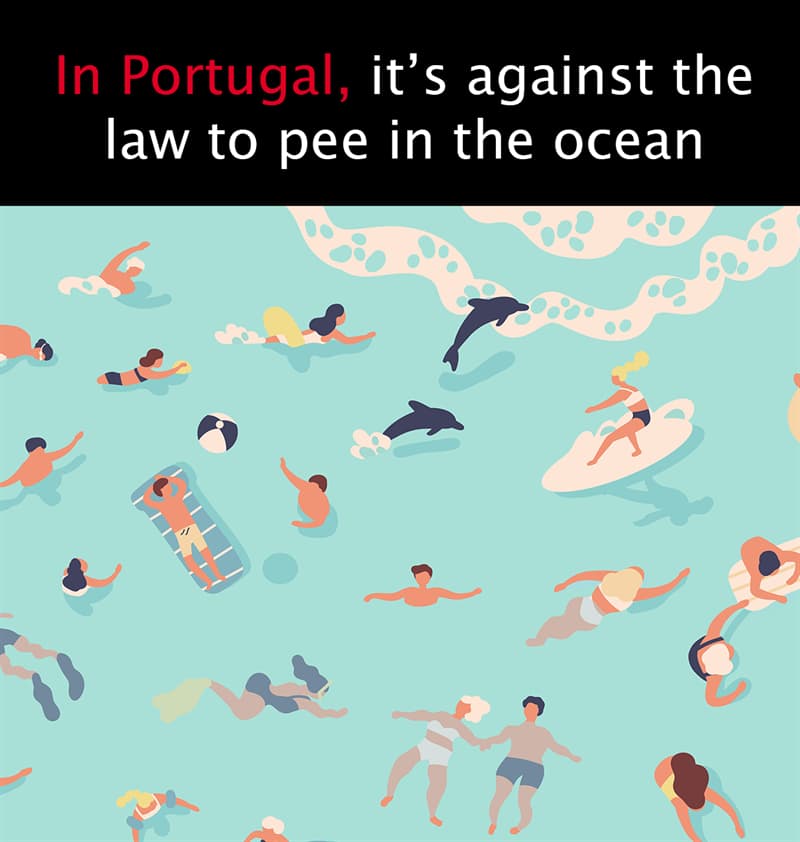 Geography Story: In Portugal, it’s against the law to pee in the ocean