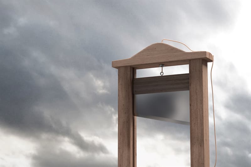 History Story: Is death by guillotine painless?