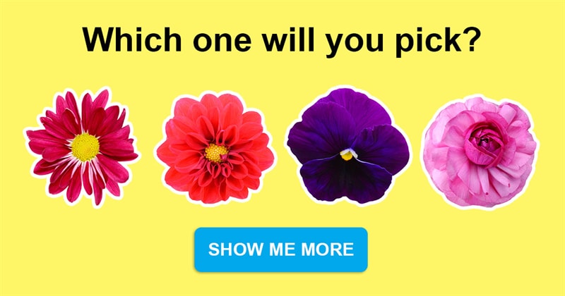 Society Story: The flower you choose will say a lot about your personality