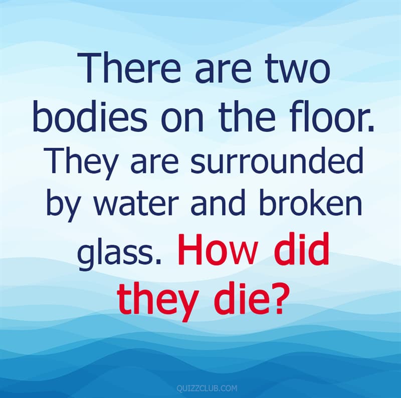 IQ Story: 85% of adults will find these 10 kids' riddles surprisingly hard #1