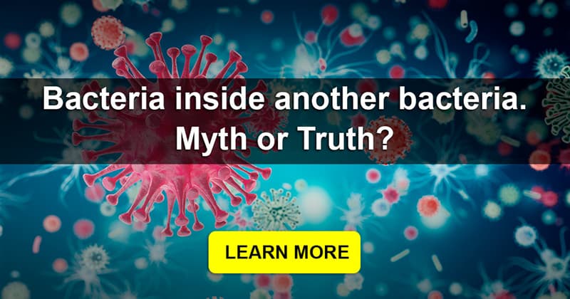 Science Story: Do bacteria have bacteria?