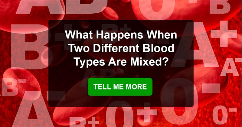 Science Story: What would happen if a person receives a blood transfusion using a blood type other than their own?