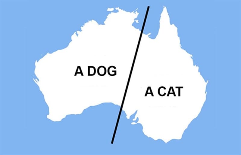 Geography Story: #16 As it turns out, most people see a dog's head and a cat's head in the map of Australia: