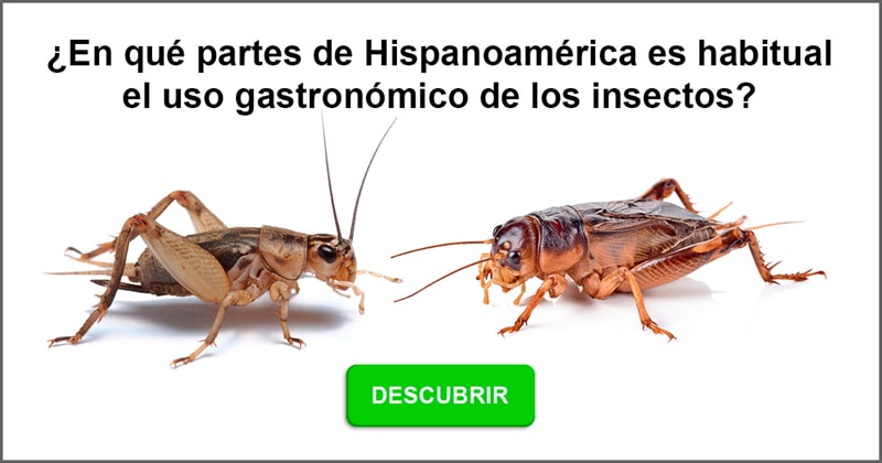 Geografía Historia: ¿En qué partes de Hispanoamérica es habitual el uso gastronómico de los insectos?