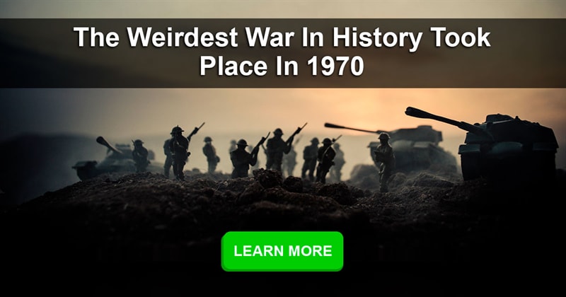 Society Story: What were the weirdest wars in history?