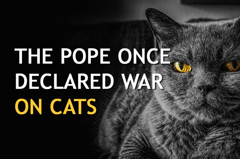 History Story: The pope once declared war on cats
