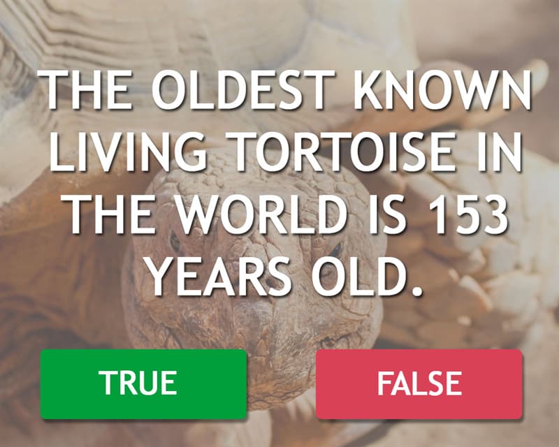 Science Story: The oldest known living tortoise in the world is 153 years old.