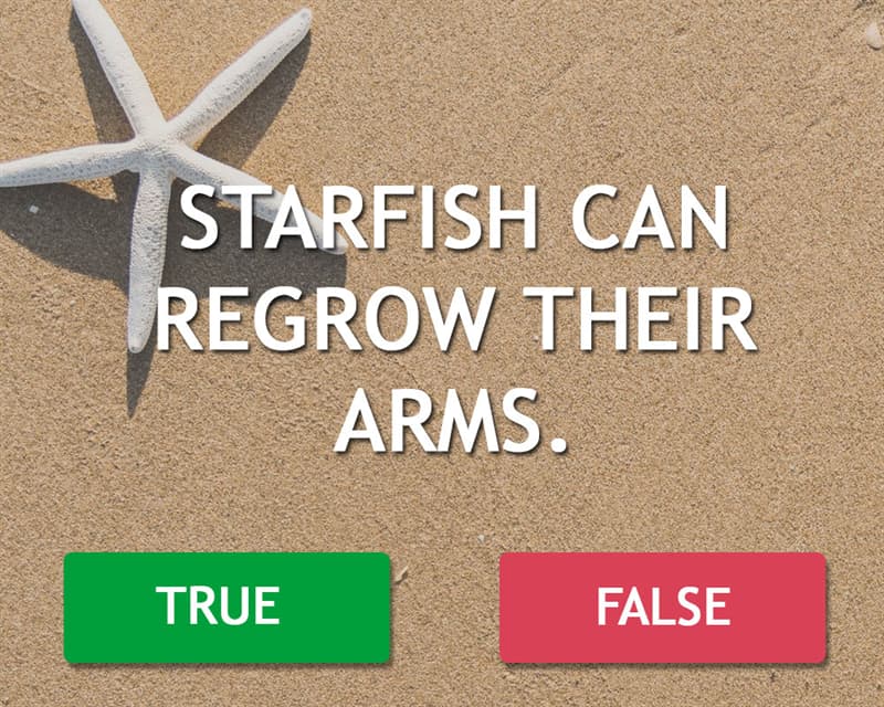 Science Story: Starfish can regrow their arms.