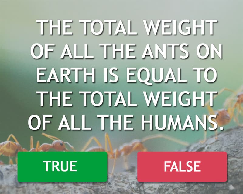 Science Story: The total weight of all the ants on Earth is equal to the total weight of all the humans.