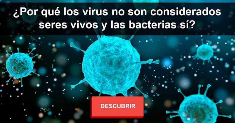 Naturaleza Historia: ¿Por qué los virus no son considerados seres vivos y las bacterias sí?