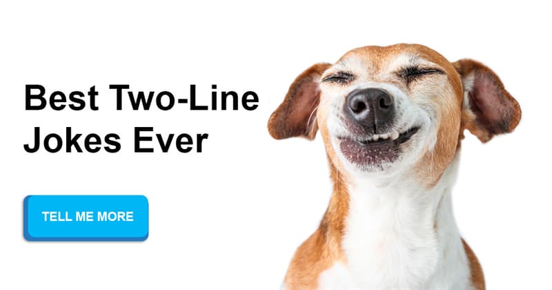 The 25 best two-line jokes you will definitely... | QuizzClub