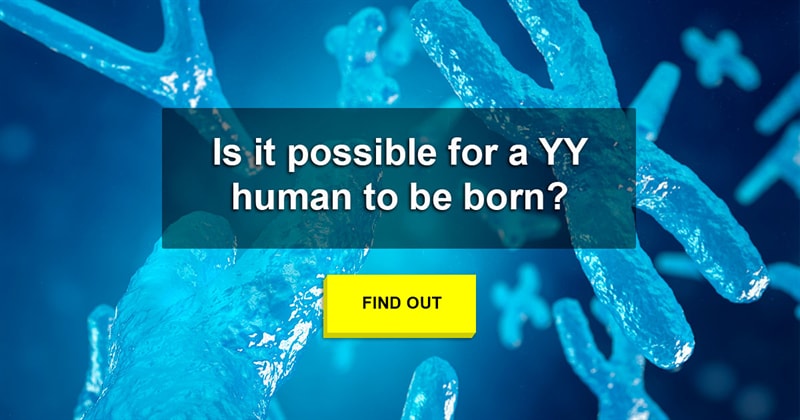 Science Story: If men have XY and women have XX, what would happen if scientists created a YY human?