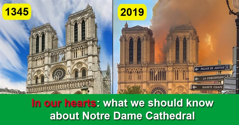 Geography Story: Interesting Facts about Notre Dame Cathedral You Probably Didn’t Know