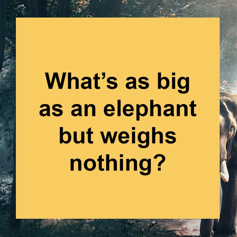 IQ Story: What’s as big as an elephant but weighs nothing?